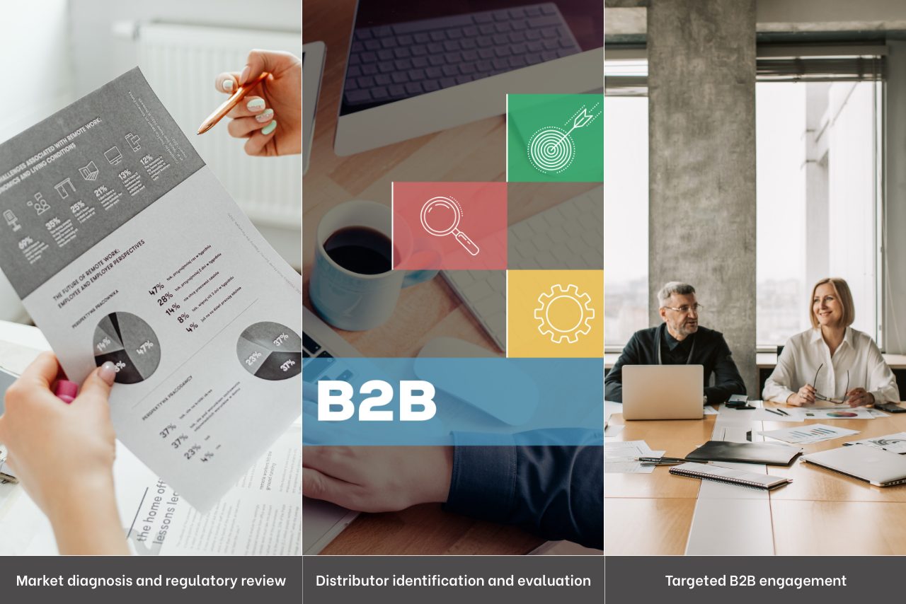 Market diagnosis and regulatory review, distributor identification and evaluation, and targeted B2B engagement for companies entering ASEAN markets.