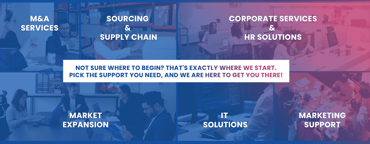 Source of Asia service overview showing M&A services, sourcing and supply chain, corporate services and HR solutions, market expansion, IT solutions, and marketing support.