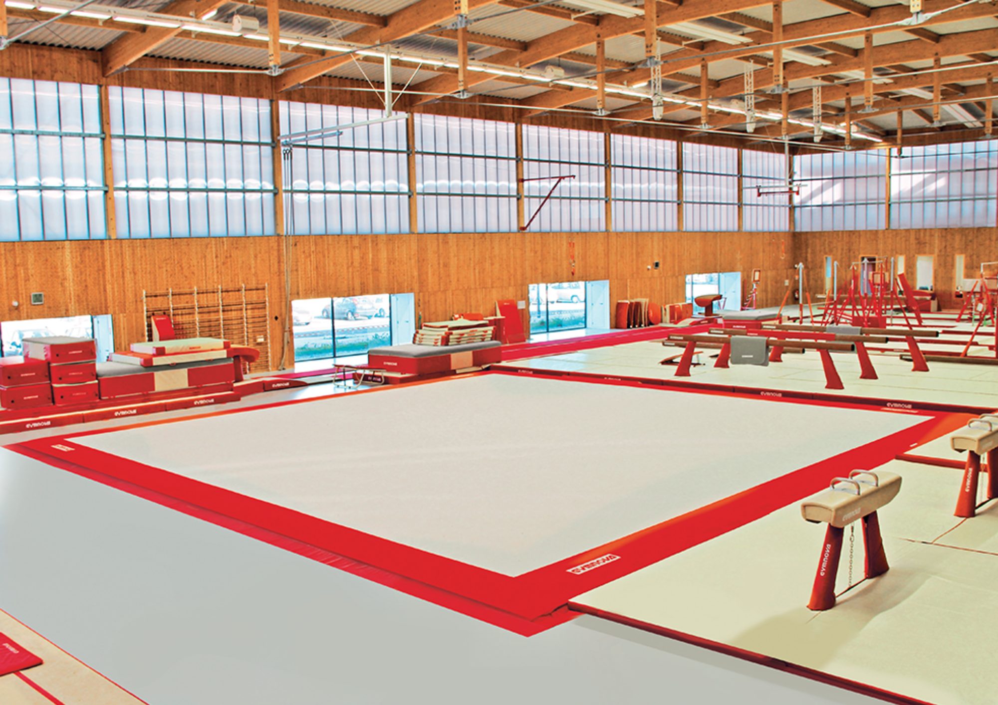 Go To Market Strategy Sport Equipment Vietnam Professional gymnastic equipment facility for go to market strategy Vietnam market entry case study